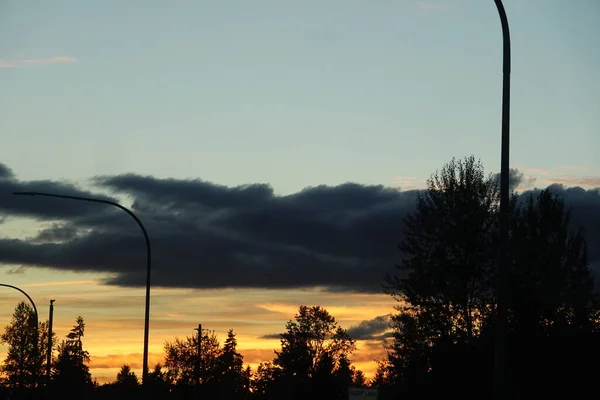 Hayat, nasıl yaşanacağına dair talimatlarla gelmez ama ağaçlarla birlikte gelir. İyi günler..