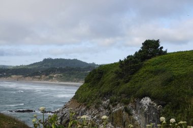 Washington plajı her yıl milyonlarca turist çeker..