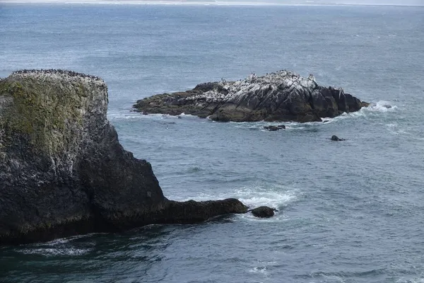 Bela Seashore Haystack Rock 235 Pés 72M Cannon Beach Oregon — Fotografia de Stock