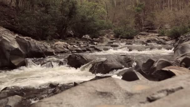 Fluss fällt den Bach hinunter — Stockvideo