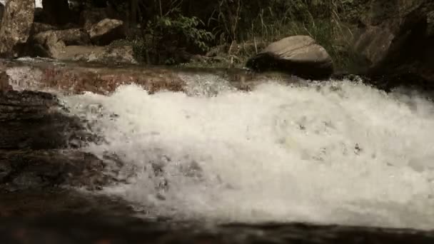 River falls down the stream — Stock Video