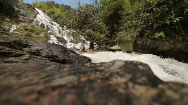 강 흐름 아래로 떨어지는 — 비디오