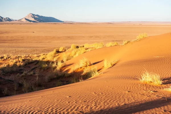 Salida del sol sobre el desierto — Foto de Stock