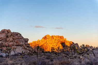 Günbatımı Joshua Tree National Park içinde