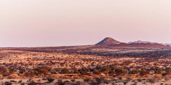 Tájkép Namíbiai Sivatagról Spitzkoppe Közelében Naplemente Körül — Stock Fotó