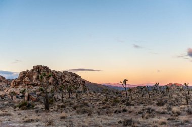 Günbatımı Joshua Tree National Park içinde