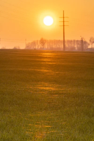 Teia de aranhas refletida em um pôr do sol — Fotografia de Stock