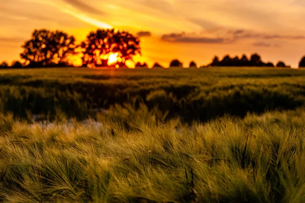 Krásný západ slunce ve střední Belgii — Stock fotografie