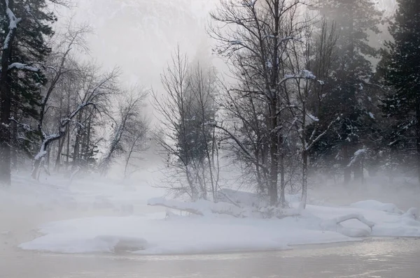 Misty Winter evening in yostemite valley — Stock fotografie