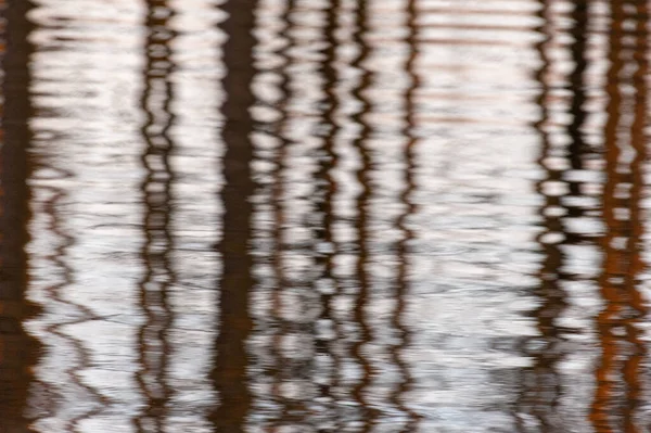 Impresión Troncos Altos Reflejados Agua Imagen Tomada Flandes Oriental — Foto de Stock