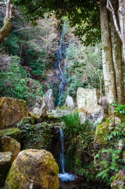 Hiroşima, Japonya - 2 Ocak 2020. Hiroşima 'daki Mitaki Dera tapınağının dışında küçük bir şelale. Bu, Japonya 'daki en ünlü Budist tapınaklarından biridir..