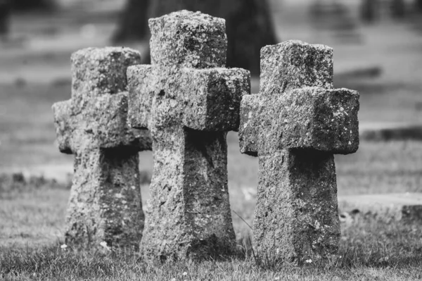 Yper Belgien Augusti 2021 Detalj Krigsmonumenten Vid Langemarkskyrkogården Langemark Den — Stockfoto