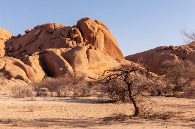 Merkez Namibya 'daki Spitzkoppe Dağı yakınlarındaki çöl manzarası..