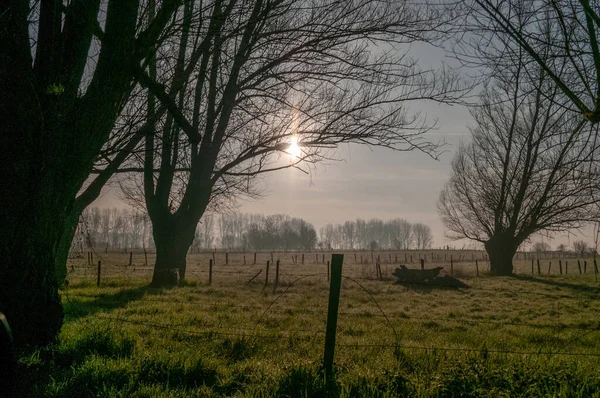 Landschaftsaufnahme Einer Von Bäumen Gesäumten Landschaft Ostflandern Belgien — Stockfoto