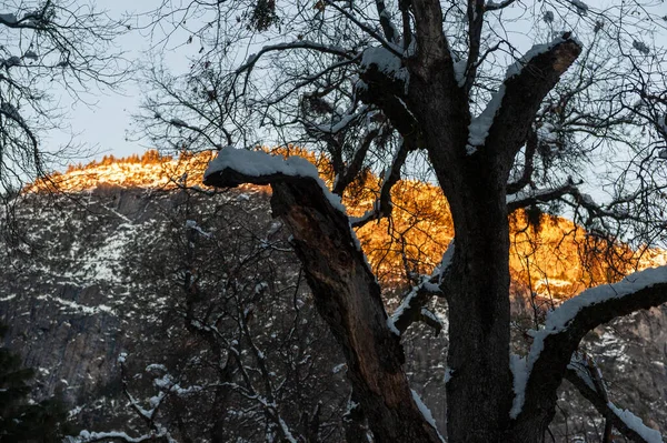 Yarım Karlı Bir Kubbenin Bir Kış Akşamında Güneş Işığının Son — Stok fotoğraf