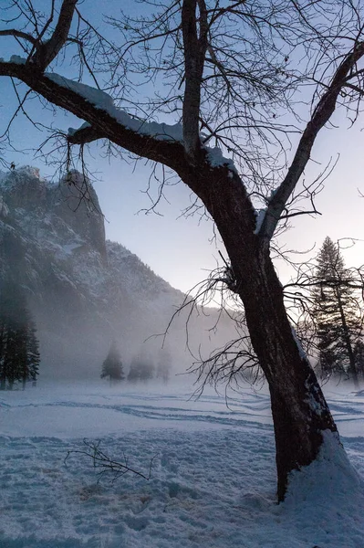 Долина Йосемити Окутана Тонким Слоем Тумана Висящим Над Рекой Мерсед — стоковое фото