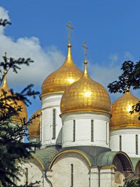 Rusya, Moskova, Moskova kremlin varsayım Katedrali
