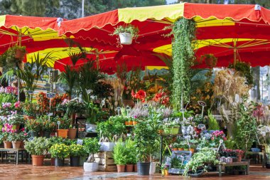 Monaco, açık havada çiçek pazarı