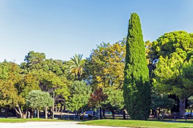cote d'azur, Fransa. park hill chateau üzerinde güzel