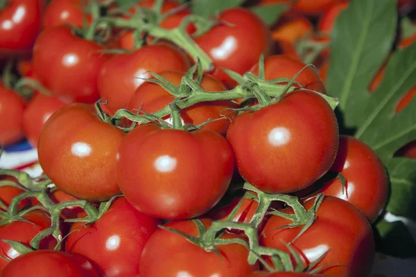 Tomates rojos maduros en un puesto de mercado — Foto de Stock