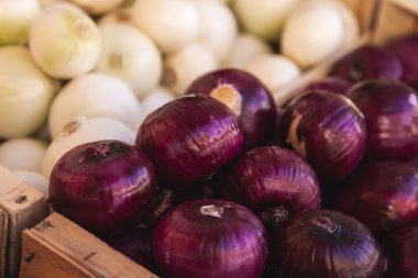 soğan, bir piyasa ahır'ın farklı çeşitleri