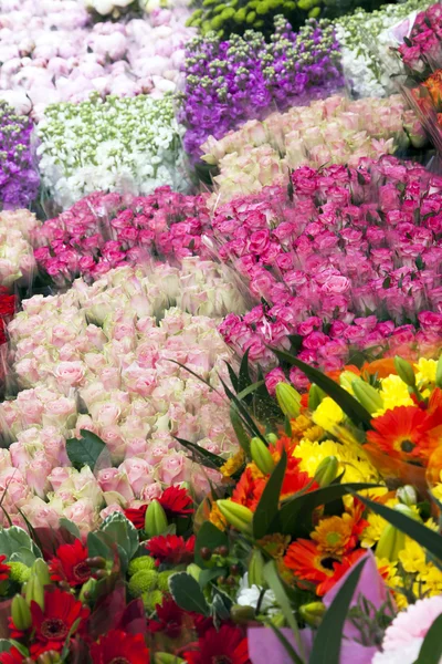 Bouquet de fleurs diverses — Photo