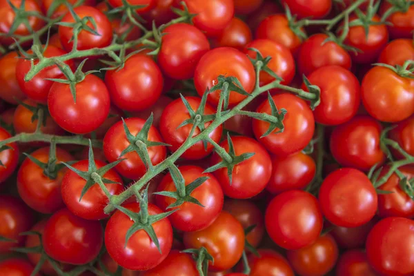 Prodejní stánek-ekologicky šetrné výrobky na trhu. zářivě červená zralá rajčata — Stock fotografie