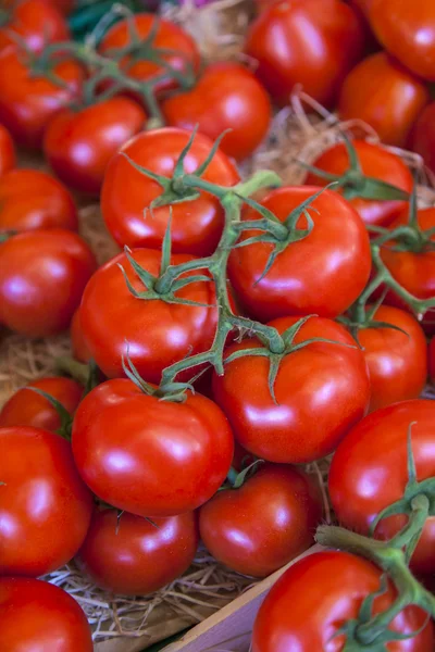 Productos ecológicos en el puesto de mercado. Tomates maduros rojos brillantes — Foto de Stock