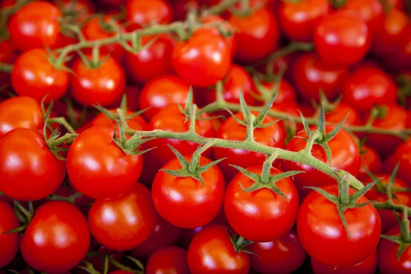 Prodejní stánek-ekologicky šetrné výrobky na trhu. zářivě červená zralá rajčata — Stock fotografie