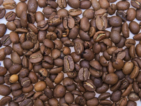 Pozadí pražených kávových zrn — Stock fotografie