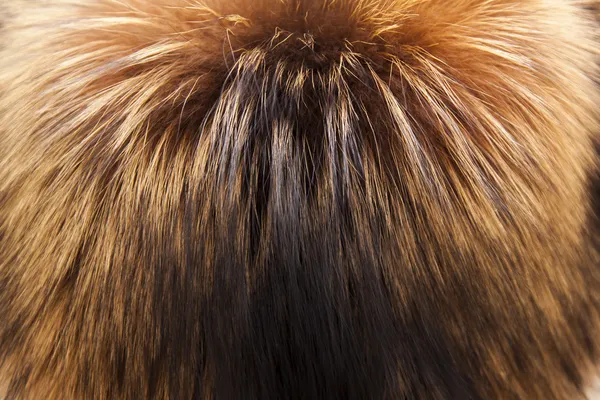 红狐狸毛皮的质感 — 图库照片