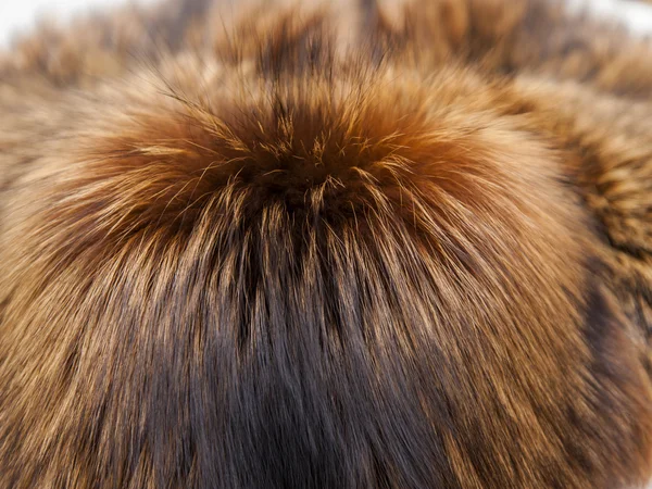 Red fox fur texture — Stock Photo, Image