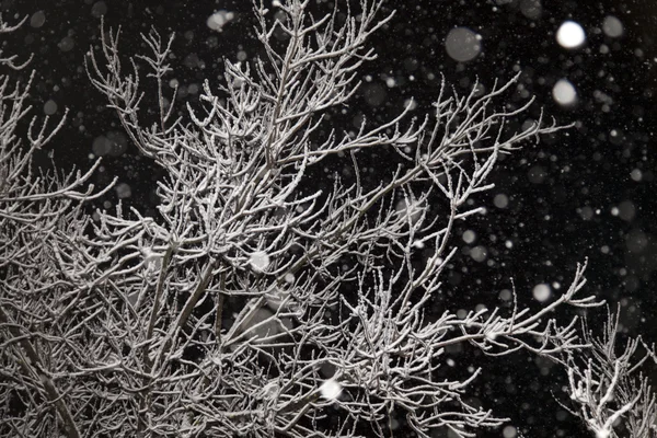 Sněžení v noci město — Stock fotografie