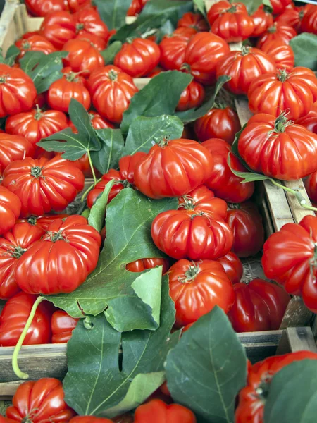 Provence, France. Eco-friendly products on the counter of the city market. ripe tomatoes — Stock Photo, Image