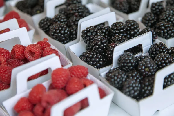 Provence, France. Produits écologiques sur le comptoir du marché de la ville. Baies mûres en boîtes — Photo