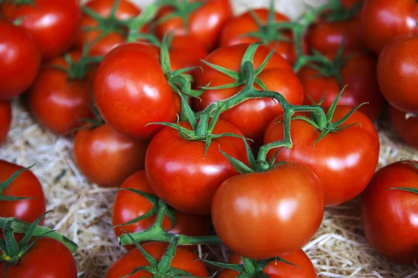 Provence, Francie. -ekologicky šetrné výrobky na pult městské trhu. zralá rajčata — Stock fotografie