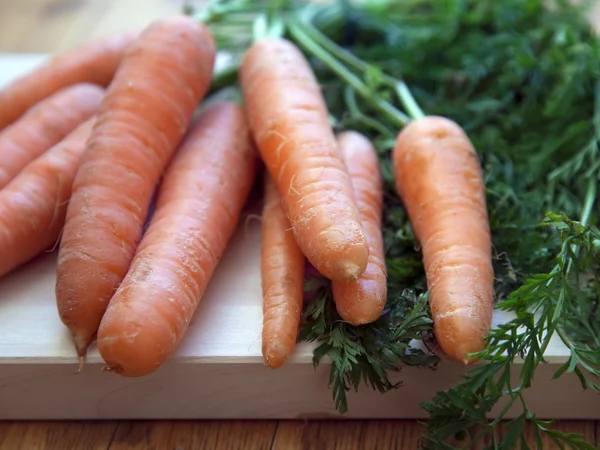 Bouquet de carottes fraîches — Photo