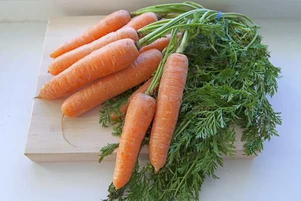 Bouquet de carottes fraîches — Photo