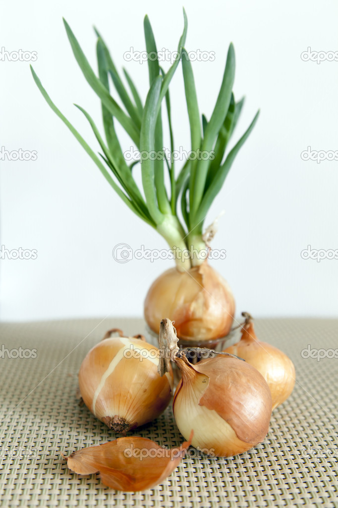 Fresh onion salad