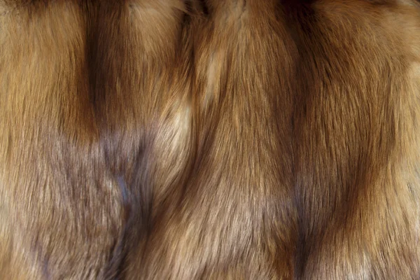 Fur texture — Stock Photo, Image