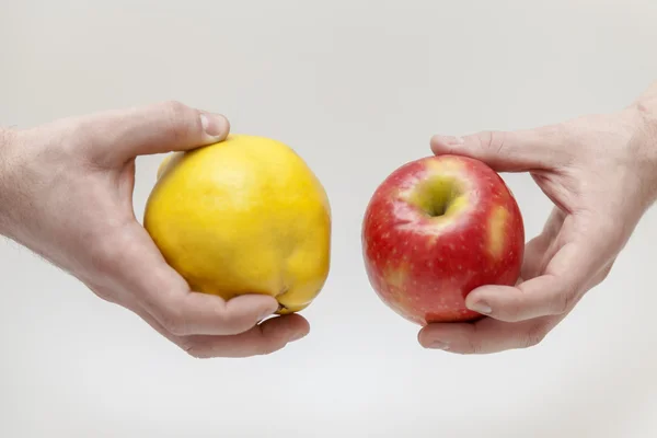 Kırmızı elma ve erkek ellerinde sarı Ayva — Stok fotoğraf