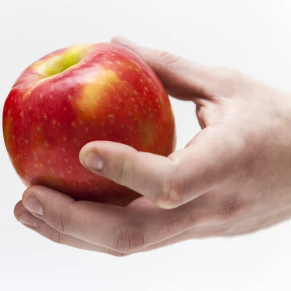 Velké zralé jablko v mužské ruce — Stock fotografie