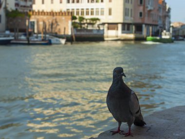 İtalya, Venedik. tipik kentsel görünümü