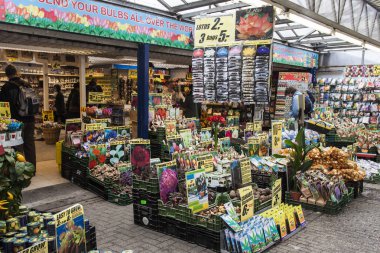 Amsterdam, Hollanda. Satılık tohumlar, bitkiler ve çiçekler çiçek pazarında. yüzen çiçek pazarı şehrin konumlar biridir