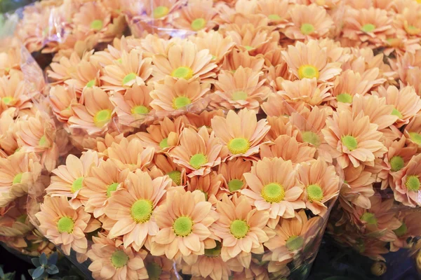 Bouquets di fiori gialli — Foto Stock