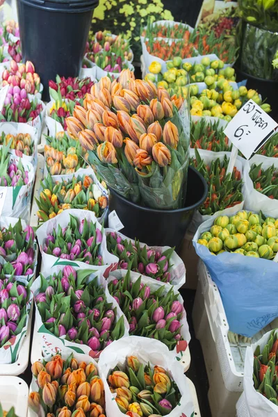Amsterdam, The Netherlands . Sale of seeds , plants and flowers in the flower market . — Stock Photo, Image