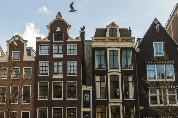 Amesterdão, Países Baixos. Detalhe arquitetônico típico de casas antigas — Fotografia de Stock