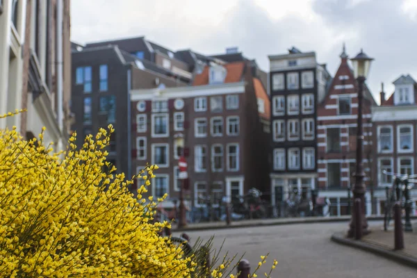 Amsterdam, Nederländerna. typiska stadsbild — Stockfoto