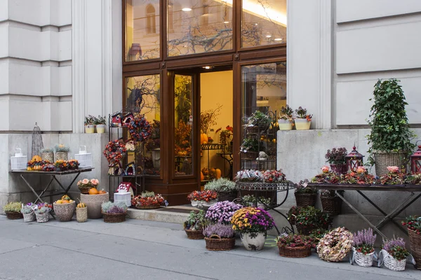 Viyana, Avusturya, 28 Ekim 2011. vitrin çiçekçi — Stok fotoğraf
