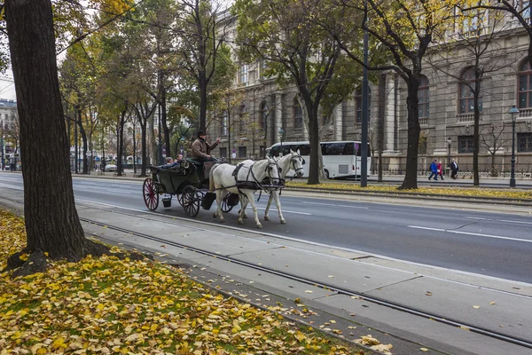 Vienne, Autriche, 29 octobre 2011. Attraction touristique typique - Fiacres viennoises — Photo